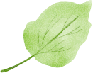 Image Slider 2